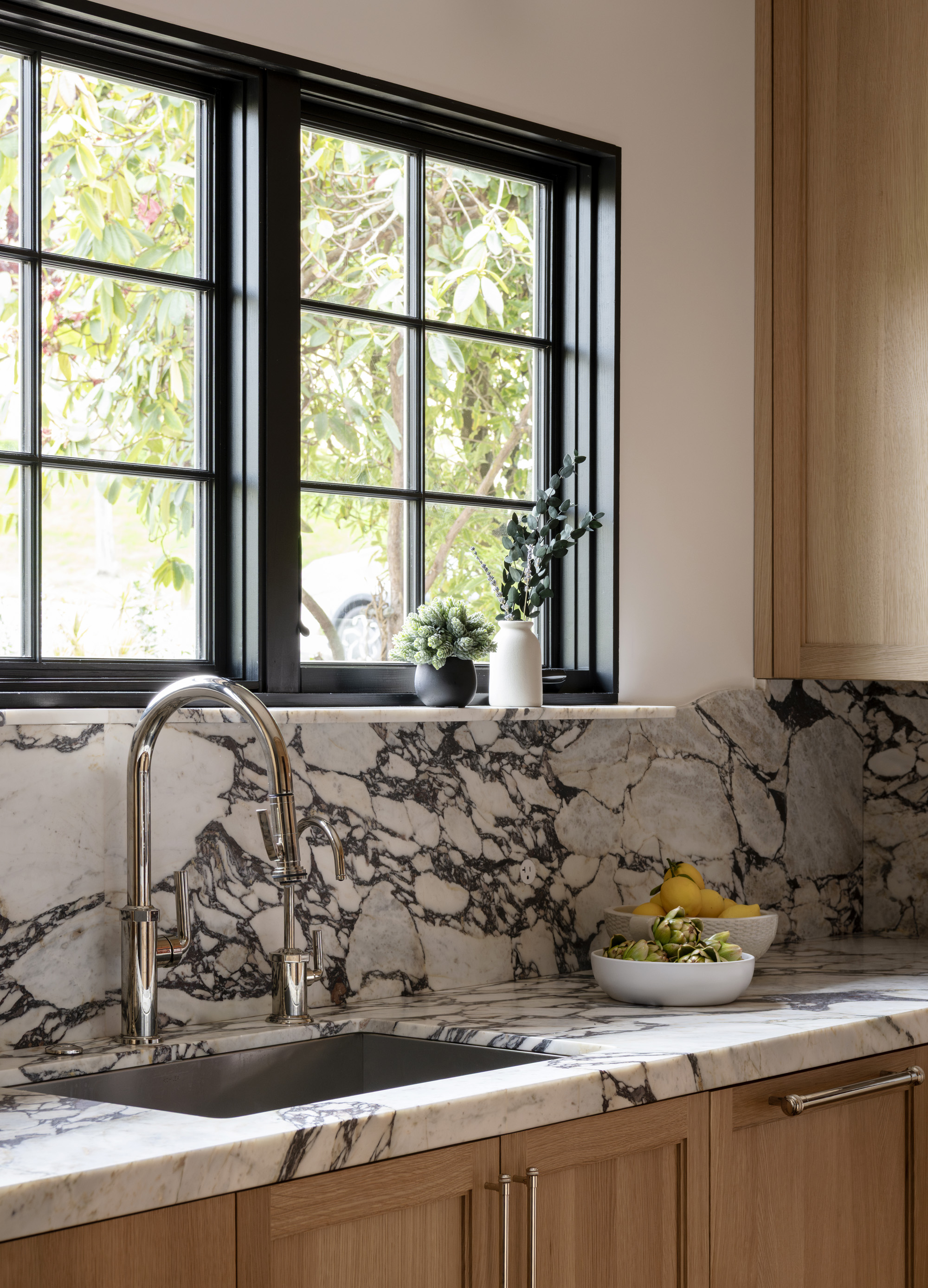 Kitchen faucet detail, contemporary remodel