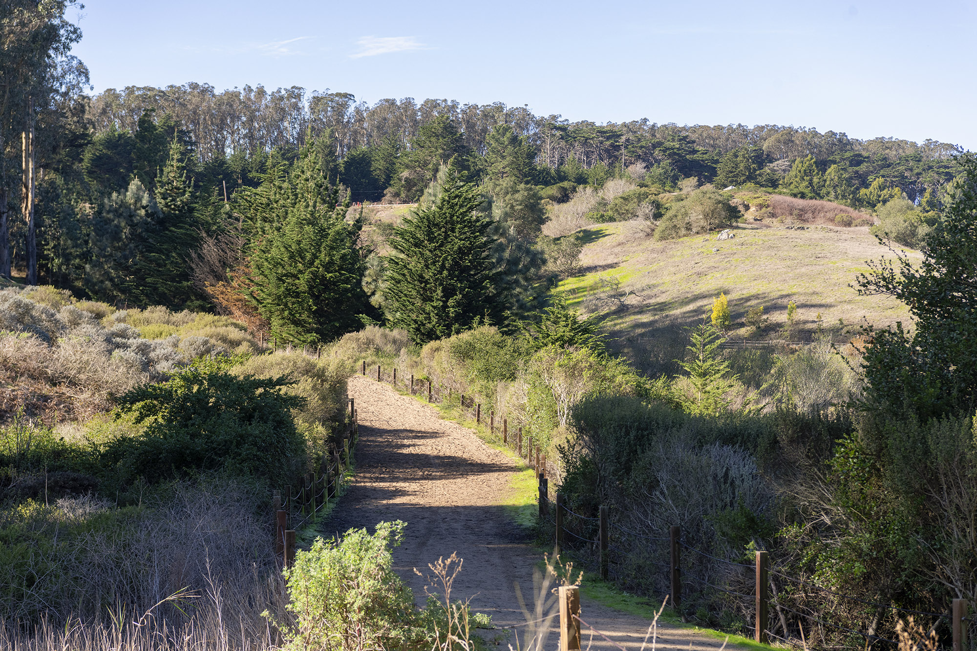 Pollin Spring trail, Presidio