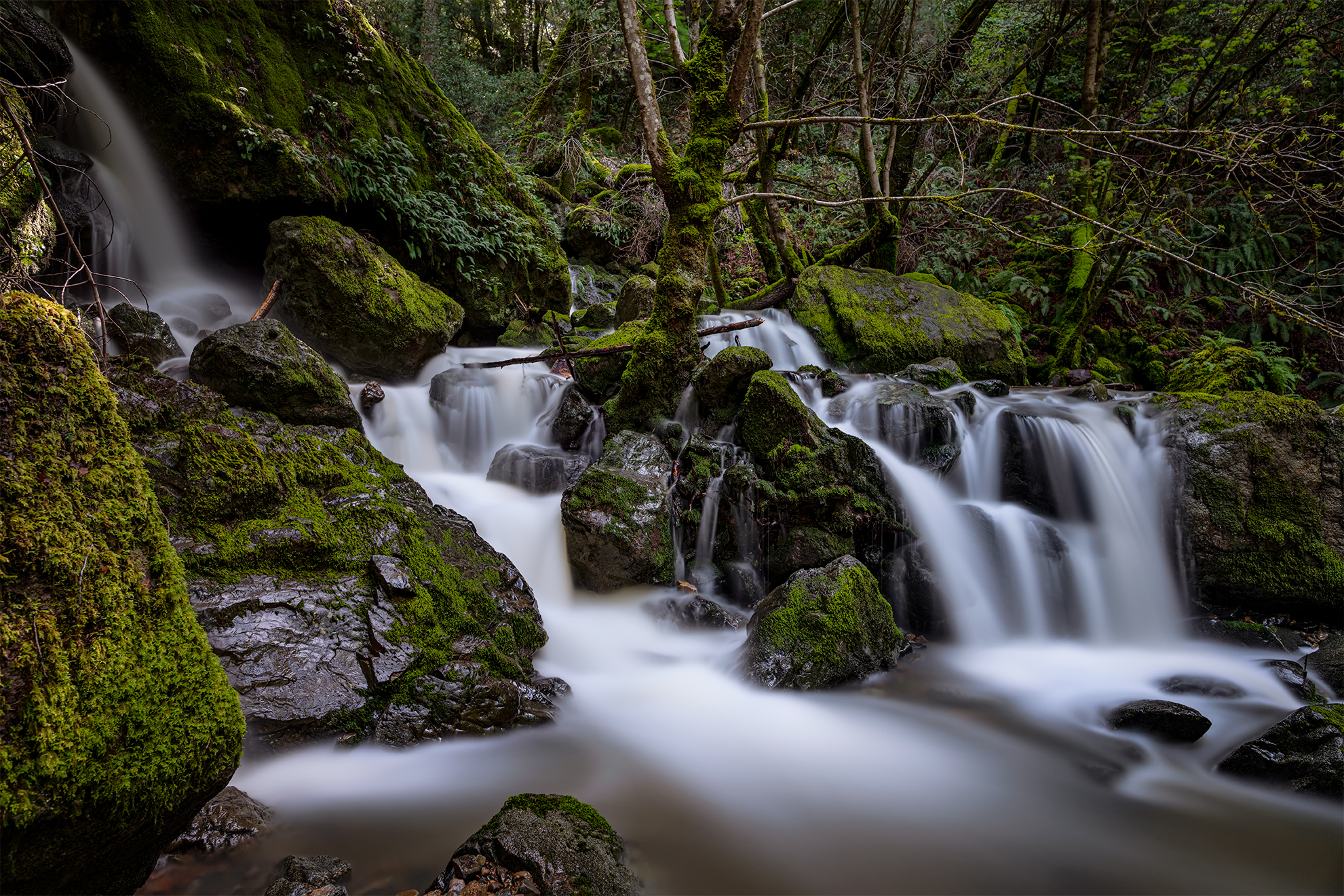 The spring flow of Cataract Falls