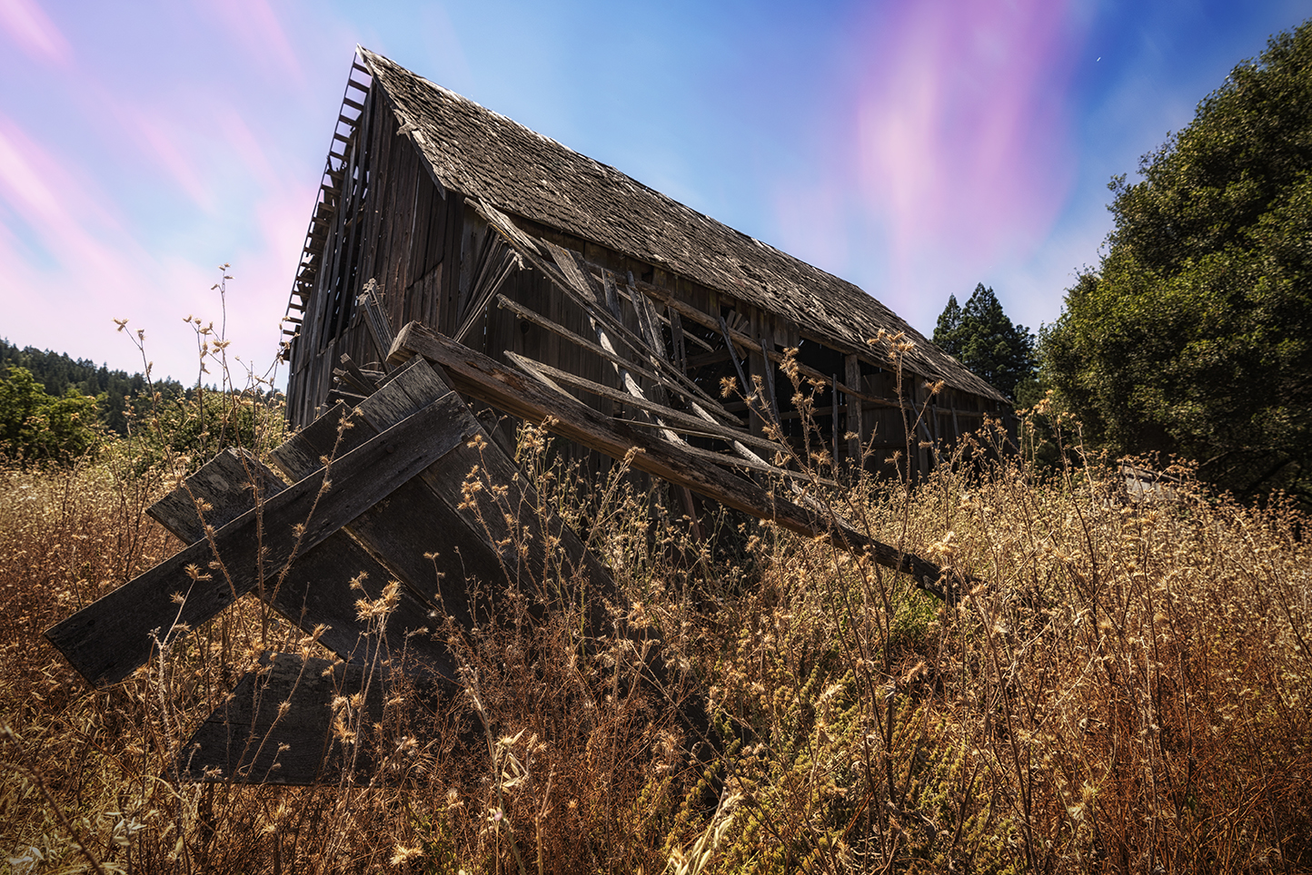 an old abandoned barn in the tall summer grass near Anderson Valley, California